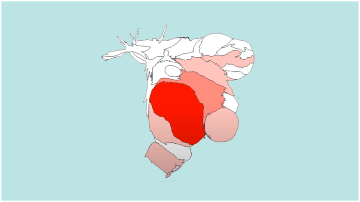 Mapa de Anamorfose